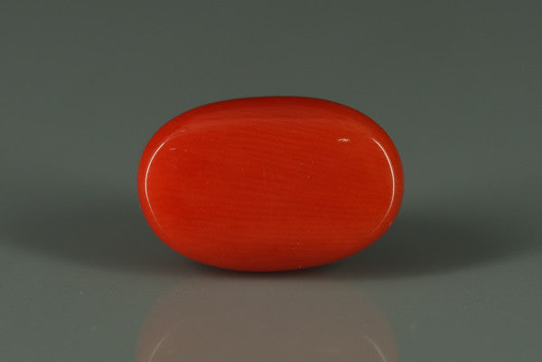 Coral  - 6ct - KC110732