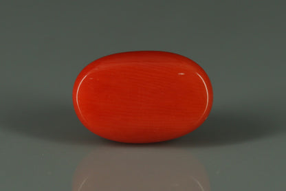 Coral  - 6ct - KC110732