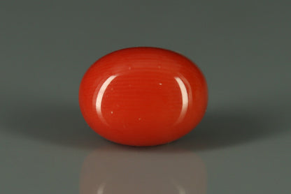 Coral  - 5.6ct - KC110910