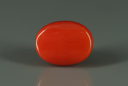 Coral  - 5.6ct - KC110910