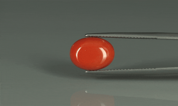 Coral  - 6.3ct - KC110911