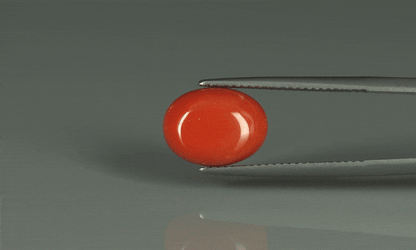 Coral  - 6.3ct - KC110911