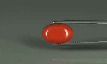 Coral  - 6.9ct - KC110912