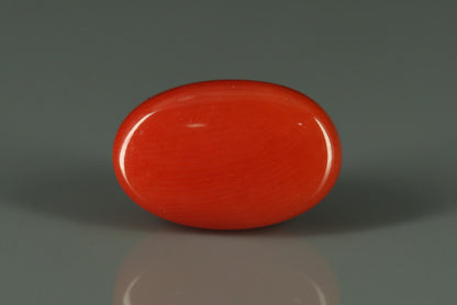 Coral  - 6.9ct - KC110912