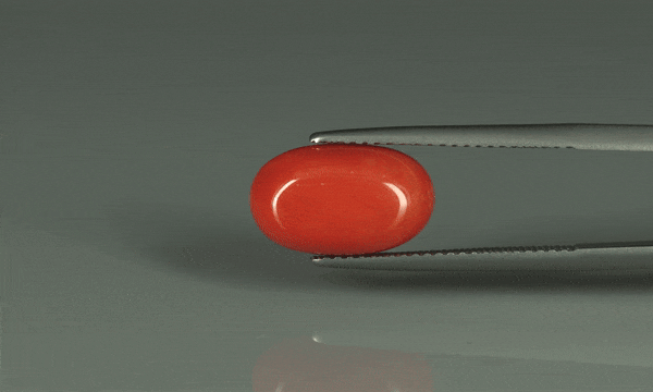 Coral  - 5.95ct - KC110941