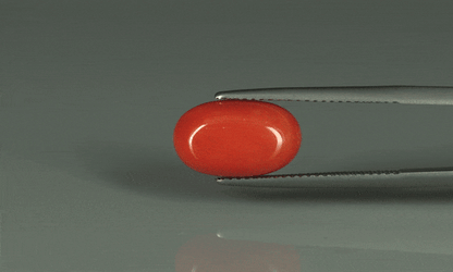 Coral  - 5.95ct - KC110941