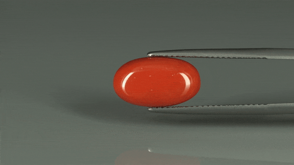 Coral  - 5.8ct - KC110943
