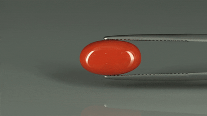 Coral  - 5.8ct - KC110943