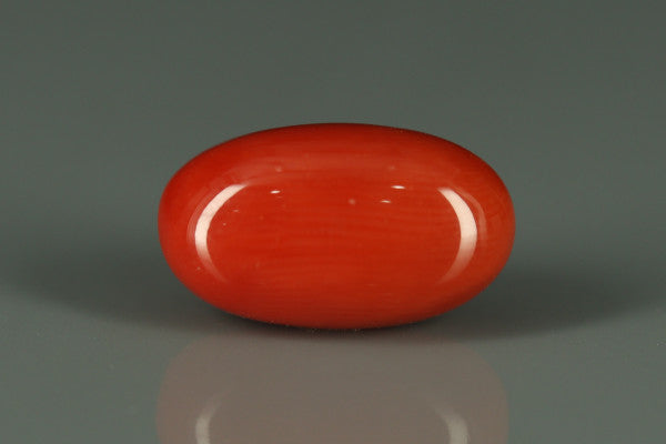 Coral  - 5.8ct - KC110943
