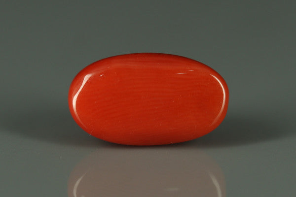 Coral  - 5.8ct - KC110943