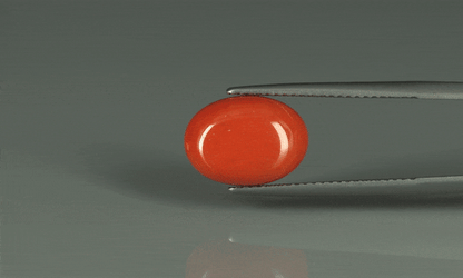 Coral  - 6.3ct - KC110945