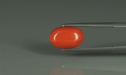Coral  - 6ct - KC110947