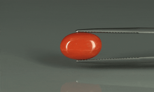 Coral  - 6ct - KC110947