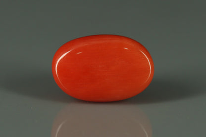 Coral  - 6ct - KC110947