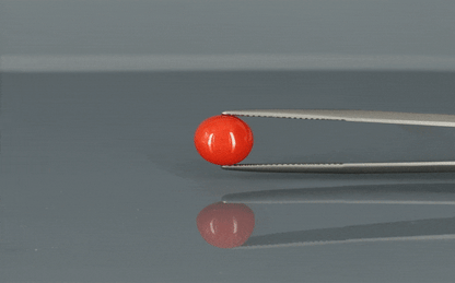 Coral  - 3.75ct - KC111357
