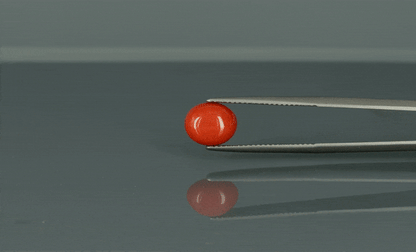Coral  - 3.215ct - KC111358