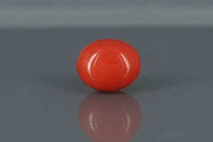 Coral  - 3.215ct - KC111358