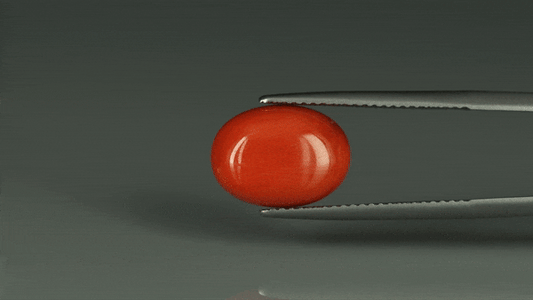 Coral  - 6.3ct - KC112389