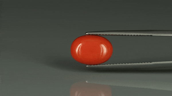 Coral  - 5.65ct - KC112390