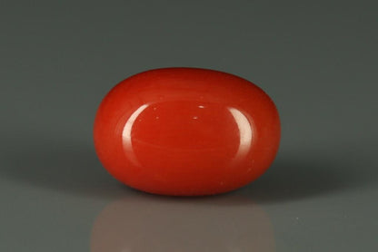 Coral  - 6.5ct - KC112393