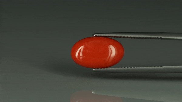 Coral  - 6.35ct - KC112394