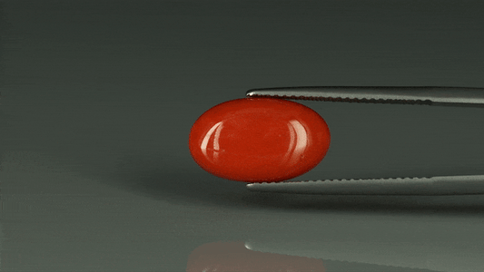 Coral  - 6.35ct - KC112394
