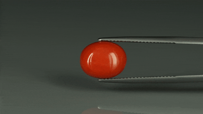 Coral  - 6.45ct - KC112400