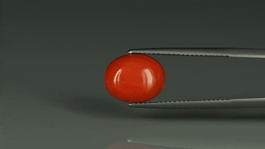 Coral  - 6.45ct - KC112400