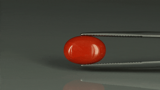 Coral  - 5.8ct - KC112401