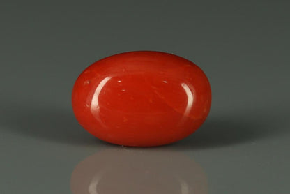 Coral  - 5.8ct - KC112401