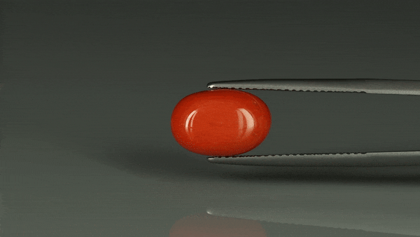 Coral  - 5.6ct - KC112404