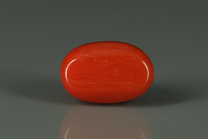 Coral  - 5.6ct - KC112404