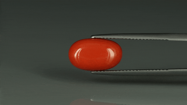 Coral  - 6.2ct - KC112406