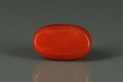 Coral  - 6.2ct - KC112406
