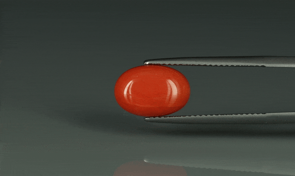 Coral  - 5ct - KC112407