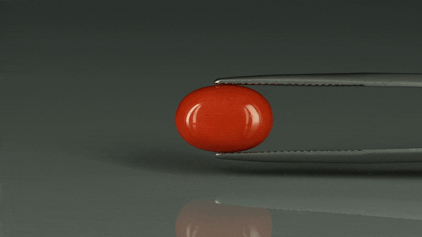 Coral  - 6.6ct - KC112410