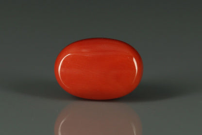 Coral  - 6.6ct - KC112410