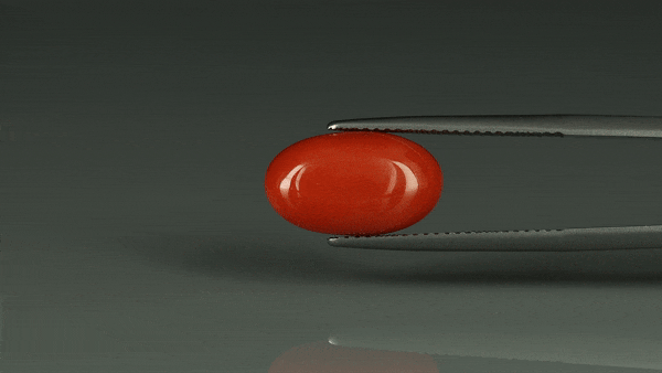 Coral  - 6.85ct - KC112411