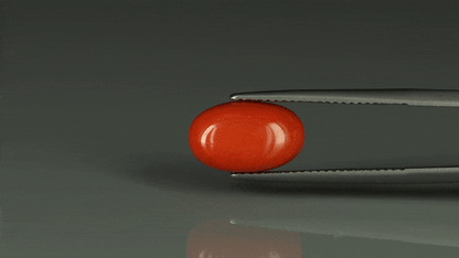 Coral  - 5.75ct - KC112412