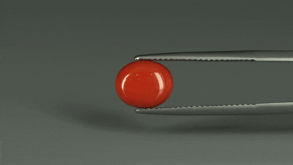 Coral  - 3.15ct - KC112415