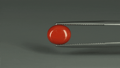 Coral  - 3.15ct - KC112415
