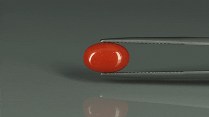 Coral  - 3.1ct - KC112417