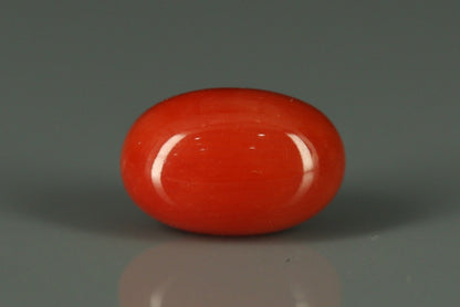 Coral  - 3.1ct - KC112417