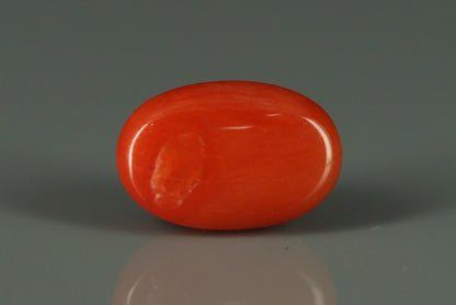 Coral  - 3.1ct - KC112417