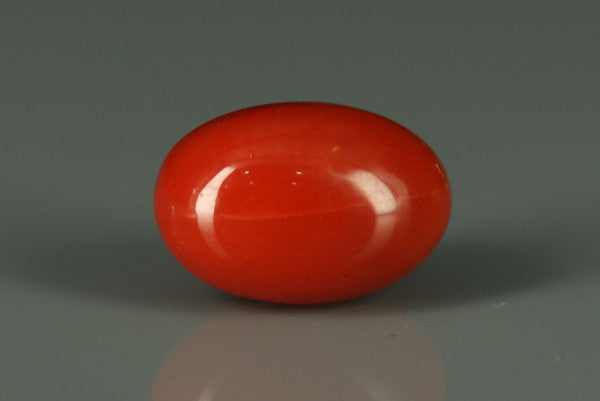 Coral  - 3.6ct - KC112418