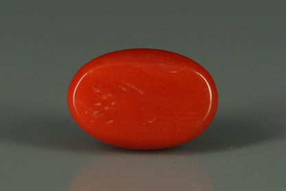 Coral  - 3.6ct - KC112418