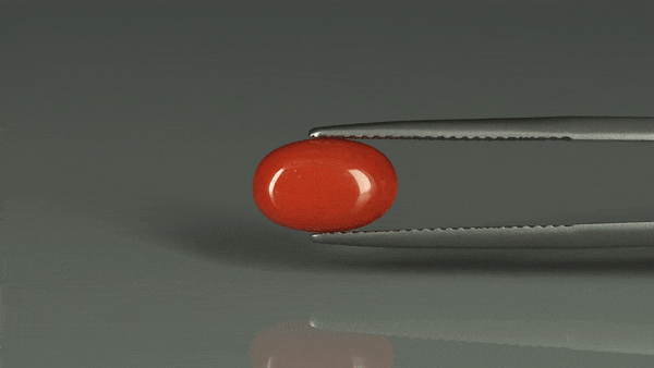 Coral  - 3.1ct - KC112419
