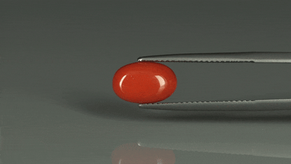 Coral  - 3.1ct - KC112419