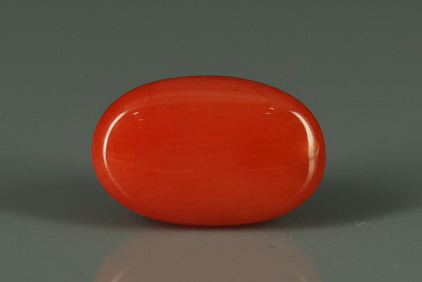 Coral  - 3.1ct - KC112419