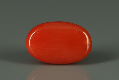 Coral  - 3.1ct - KC112419